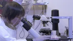 Alerte au virus Ebola