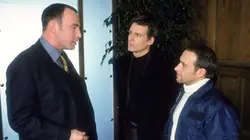 Visuel de Alerte Cobra
