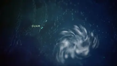 L'allée des typhons