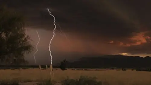 Alerte : tornades Survivre contre toute attente