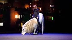 Alex Lutz : Triomphe !