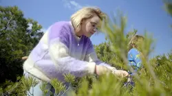 Alexia cuisine la France La Provence