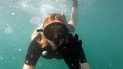 Alexia cuisine la France La Guadeloupe