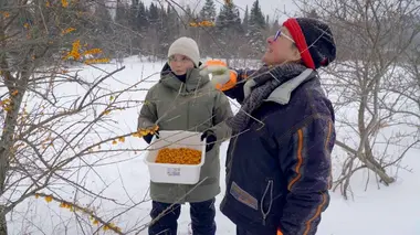 Alexia cuisine la France Le Québec