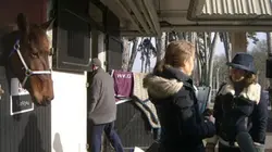 Visuel de Alexia & the City