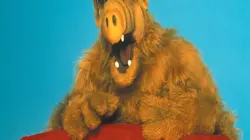 Sur Gulli à 22h00 : Alf