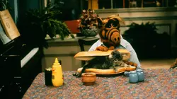Alf S03E04 Pourquoi pas ce soir ?