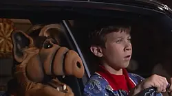 Alf