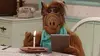 Alf