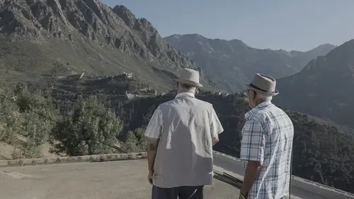 Algérie, sections armes spéciales