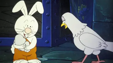 Où sont les oeufs de pigeon ?