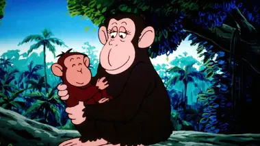 Le petit chimpanzé