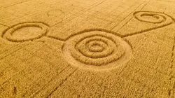 Alien Theory S08E08 Cercles venus du ciel