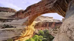 Alien Theory  USA : United States of Aliens