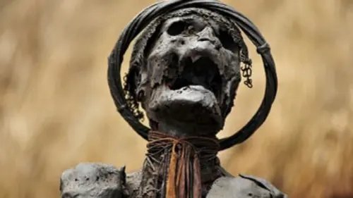 Alien Theory S03E15 Les survivants