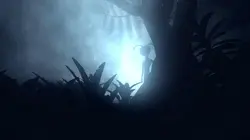 Alien Theory Iles : entre paradis et mystères en streaming