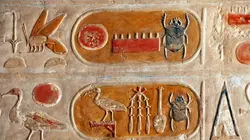 Alien Theory Insectes : l'au-delà miniature en streaming