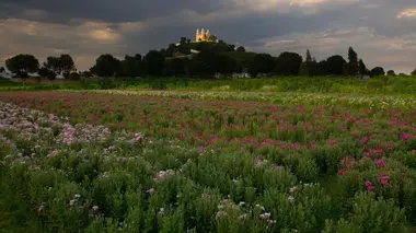 Les royaumes sous terrains