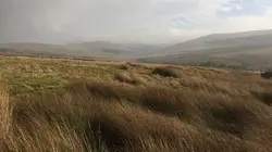 Alien Theory Les réplicants en streaming