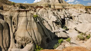 Alien Theory Le gardien des badlands