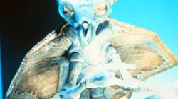 Visuel de Aliens : Allô, allô ?