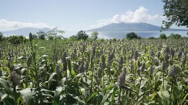 Philippines et Indonésie