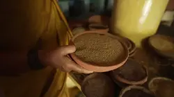 Alimentation : l'avenir en céréales ?  Inde et Thaïlande