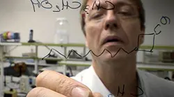 Visuel de Aliments irradiés, mauvaises ondes dans nos assiettes ?