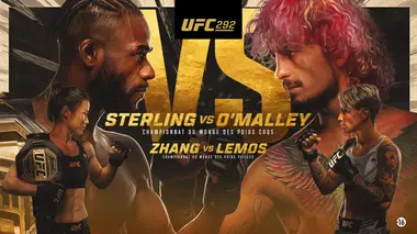 Aljamain Sterling - Sean O'Malley