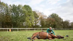 All Creatures Great and Small S01E03 Andante en streaming