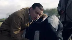 All Creatures Great and Small S03E04 What a Balls Up!