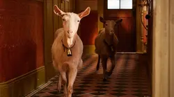 All Creatures Great and Small S04E02 Carpe Diem en streaming