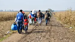 Visuel de Allemagne : fini l'accueil des Afghans ?