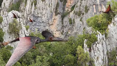 Au temps des dinosaures