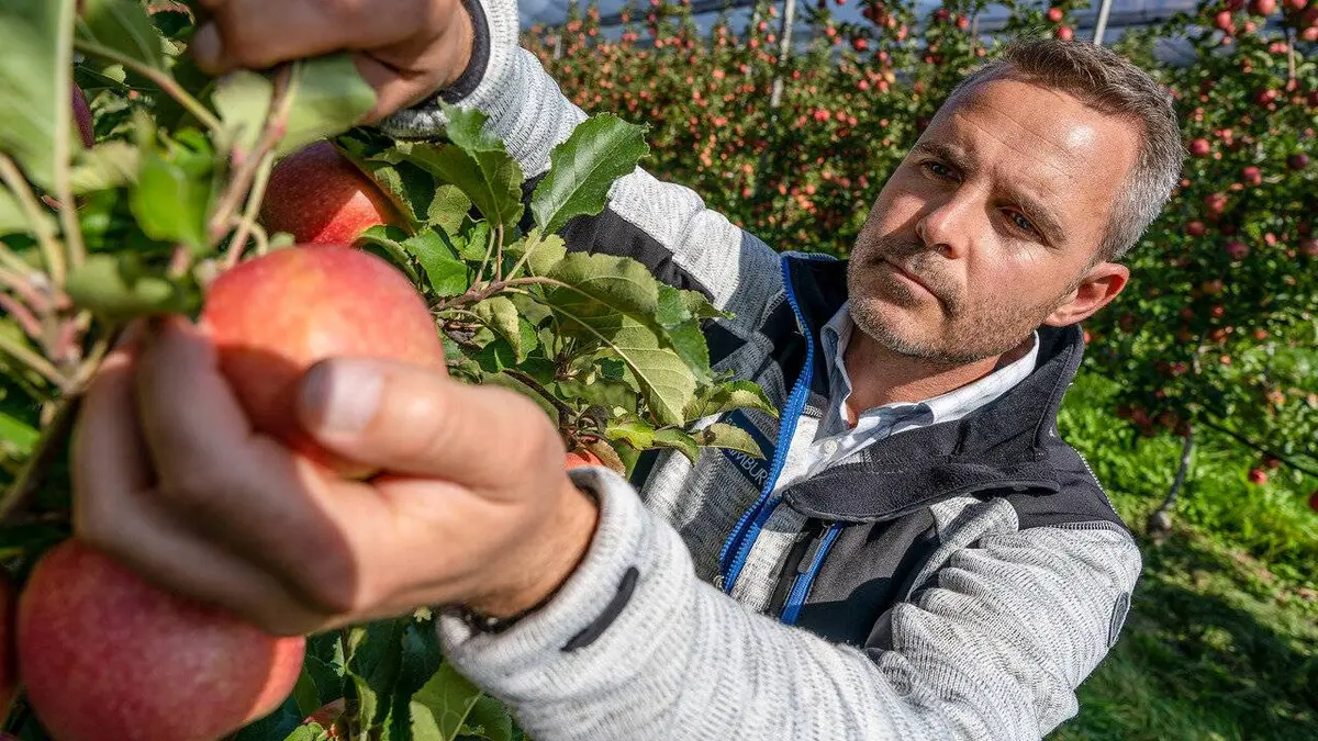 Allergies : vers de nouvelles thérapies ?