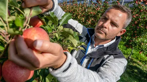 Allergies : vers de nouvelles thérapies ?