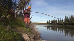 Alone : les survivants