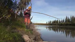 Alone : les survivants