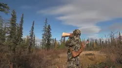 Alone : les survivants Sur les traces d'un élan