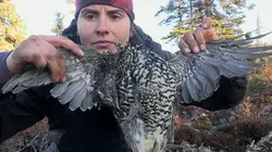 Alone : les survivants Intoxication et trahison