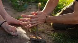 Visuel de Alone : les survivants