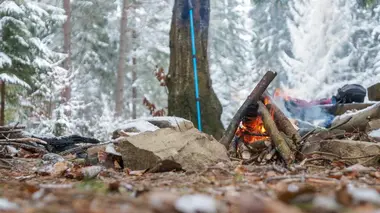 Alone : les survivants Abandonnés en territoire inconnu