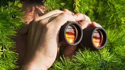 Alone : les survivants : Pour un million de dollars