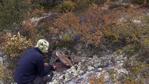 Alone : les survivants : Pour un million de dollars