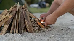 Alone : les survivants : seconde chance