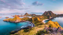 Alone : les survivants : seconde chance