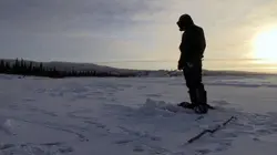 Alone : les survivants : seconde chance