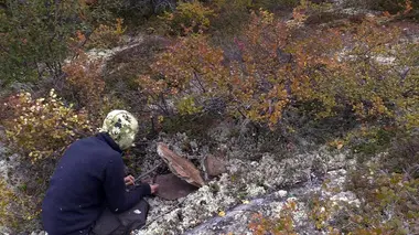 Alone S08E05 Pêcher, c'est la clé