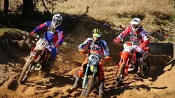 AMA Motocross