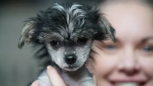 Amanda à la rescousse S01E04 En famille